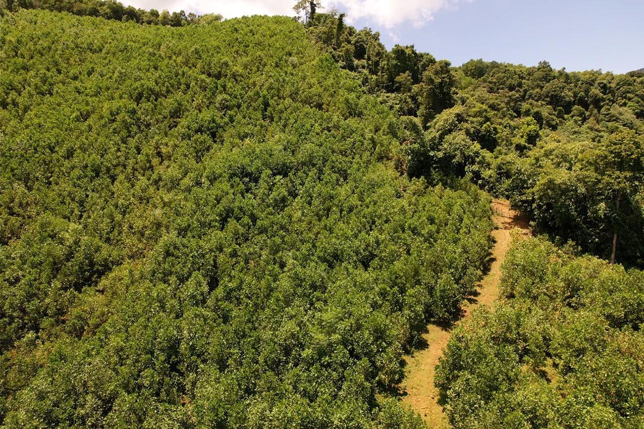 Ảnh minh họa Ảnh minh họa