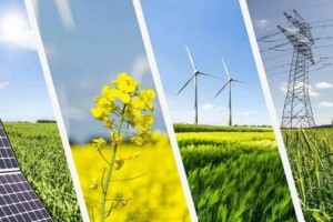 Xu hướng đầu tư năng lượng tái tạo trong bối cảnh mới