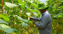 Hà Tĩnh có 5 sản phẩm công nghiệp nông thôn tiêu biểu cấp quốc gia năm 2021
