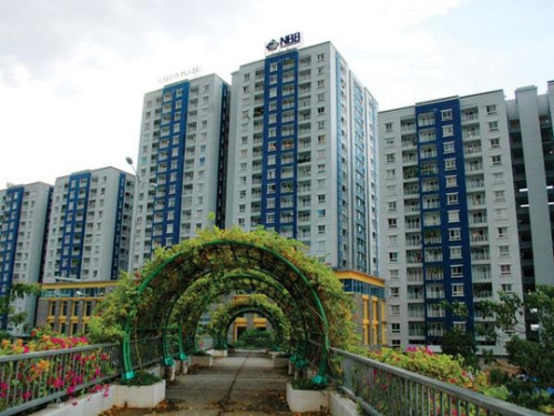 Đại diện Chứng khoán Bản Việt muốn làm Thành viên HĐQT độc lập tại NBB