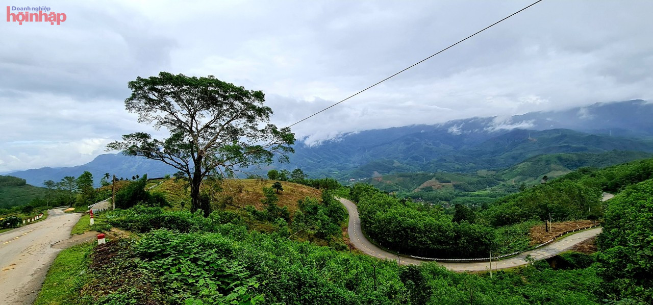 Ảnh minh họaTheo quy hoạch trước đ&amp;acirc;y, tuyến Quốc lộ 24 nối tỉnh Quảng Ng&amp;atilde;i với tỉnh Kon Tum c&amp;oacute; tổng chiều d&amp;agrave;i khoảng 168km, đoạn qua địa b&amp;agrave;n tỉnh Kon Tum khoảng 99km.
