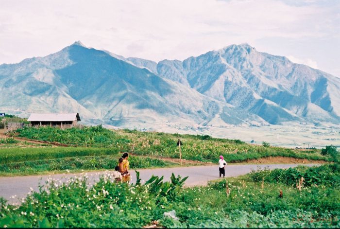 Ảnh minh họa