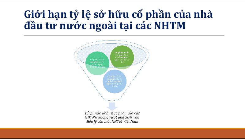 Viện trưởng CIEM: Đ&amp;atilde; đến l&amp;uacute;c điều chỉnh tỷ lệ sở hữu của nh&amp;agrave; đầu tư ngoại tại ng&amp;acirc;n h&amp;agrave;ng