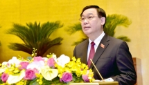 Chính phủ hành động