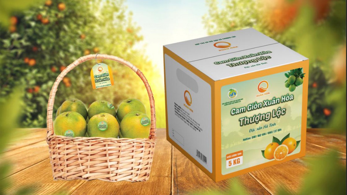 Hà Tĩnh có HTX đầu tiên được chứng nhận đạt tiêu chuẩn VietFarm Hà Tĩnh có HTX đầu tiên được chứng nhận đạt tiêu chuẩn VietFarm