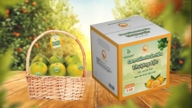 Hà Tĩnh có HTX đầu tiên được chứng nhận đạt tiêu chuẩn VietFarm