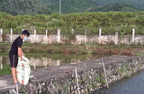 Trại sản xuất cá giống của Trung tâm Giống cây trồng, vật nuôi và thủy sản chủ động áp dụng các biện pháp kỹ thuật chăm sóc, phòng bệnh cho cá để nâng cao hiệu quả sản xuất. Trại sản xuất cá giống của Trung tâm Giống cây trồng, vật nuôi và thủy sản chủ động áp dụng các biện pháp kỹ thuật chăm sóc, phòng bệnh cho cá để nâng cao hiệu quả sản xuất.