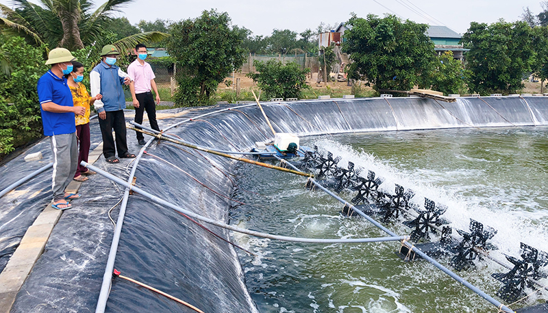 Hồ nu&amp;ocirc;i t&amp;ocirc;m, c&amp;aacute; của gia đ&amp;igrave;nh chị Vũ Minh Hường được sửa chữa, n&amp;acirc;ng cấp nhằm bảo đảm chất lượng v&amp;agrave; sản lượng sản phẩm nu&amp;ocirc;i trồng