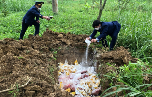 Nghệ An: Phát hiện, thu giữ và tiêu huỷ 850kg sản phẩm động vật đã bốc mùi hôi thối, không rõ nguồn gốc xuất xứ