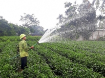 “Cú hích” lớn ở Phú Đô- Thái Nguyên