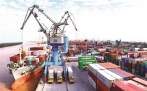 Cánh Đồng Xanh muốn tăng sở hữu tại Tập đoàn Container Việt Nam