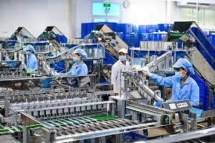 Tổng cục Hải quan hướng dẫn kiểm tra, giám sát và chính sách thuế với doanh nghiệp chế xuất