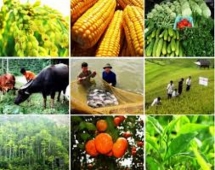 Cắt giảm, đơn giản hóa nhiều TTHC lĩnh vực nông nghiệp