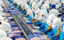 Thủy sản Vĩnh Hoàn: Xuất khẩu tăng trưởng tốt, dự báo khả quan trong năm 2022