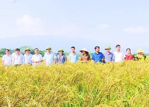 Ảnh minh họa Ảnh minh họa