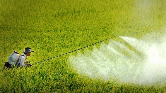 Những thuốc bảo vệ thực vật được sử dụng tại Việt Nam