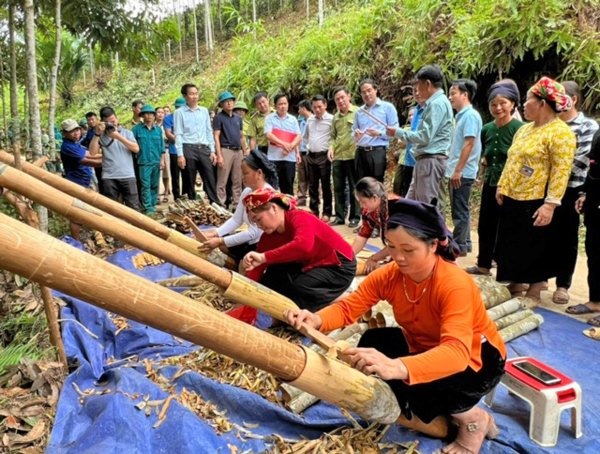 L&amp;atilde;nh đạo tỉnh L&amp;agrave;o Cai thăm cơ sở quế giống tại huyện Bảo Y&amp;ecirc;n.