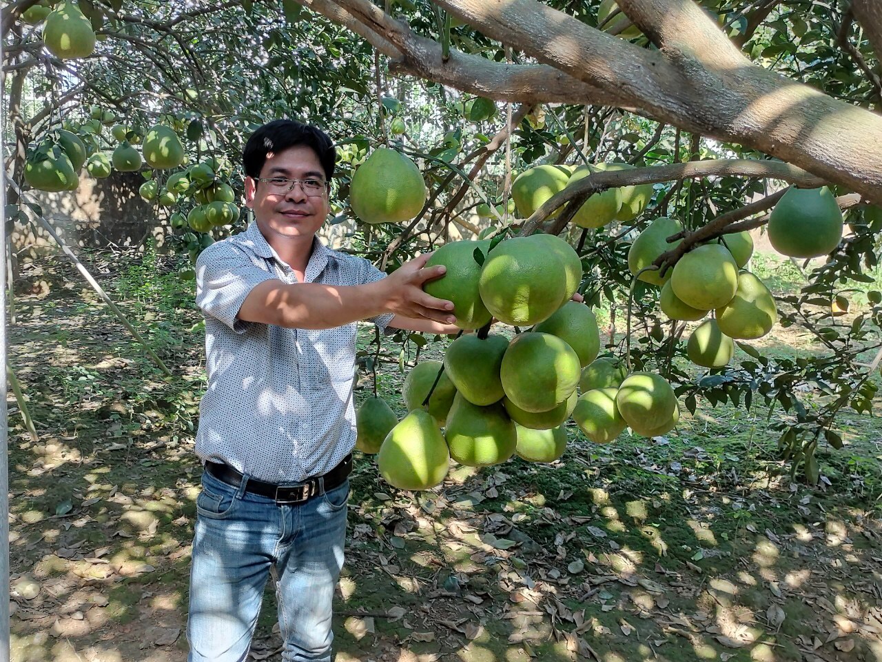 Đặc sản làng bưởi Tân Triều tại H.Vĩnh Cửu - Đồng Nai Đặc sản làng bưởi Tân Triều tại H.Vĩnh Cửu - Đồng Nai