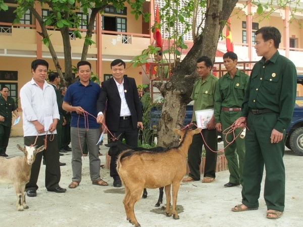 Trao tặng d&amp;ecirc; giống cho hội vi&amp;ecirc;n CCB huyện Ph&amp;ugrave; Y&amp;ecirc;n c&amp;oacute; ho&amp;agrave;n cảnh kh&amp;oacute; khăn để ph&amp;aacute;t triển kinh tế gia đ&amp;igrave;nh (Ảnh: Xu&amp;acirc;n Trường)