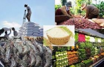 11 tháng năm 2023: Xuất khẩu nông, lâm, thủy sản đạt gần 48 tỷ USD