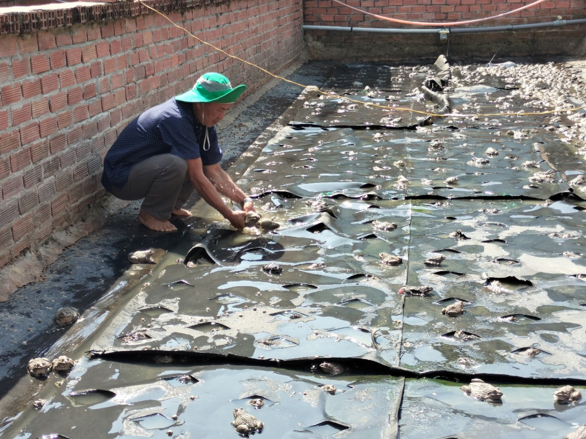 Tổng diện t&amp;iacute;ch bể nu&amp;ocirc;i tr&amp;ecirc;n địa b&amp;agrave;n huyện đạt tr&amp;ecirc;n 3ha