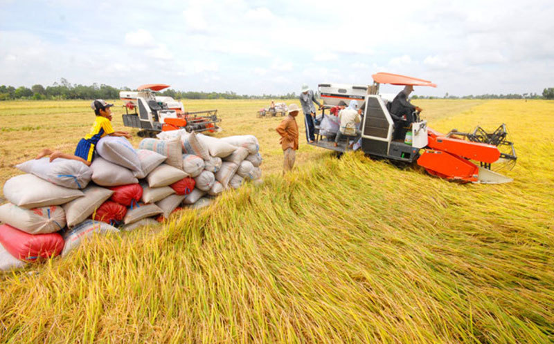 N&amp;ocirc;ng nghiệp tiếp tục khẳng định vị thế quan trọng, l&amp;agrave; trụ đỡ của nền kinh tế