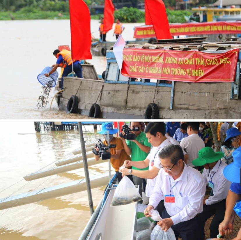Thả c&amp;aacute; giống, t&amp;aacute;i tạo nguồn lợi thủy sản tr&amp;ecirc;n s&amp;ocirc;ng Hậu Giang.