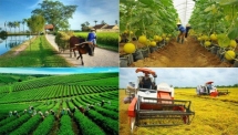Luật Hợp tác xã 2023 tạo cơ hội giúp các tổ chức kinh tế hợp tác phát triển