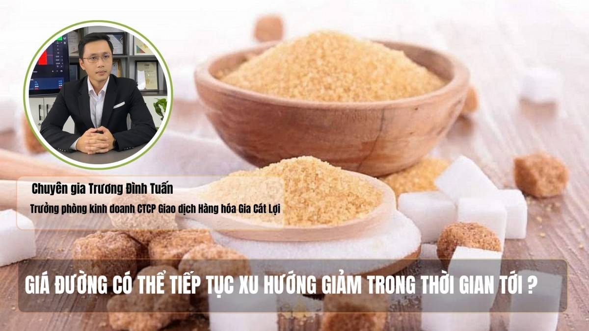 Giá đường có thể tiếp tục xu hướng giảm trong thời gian tới?