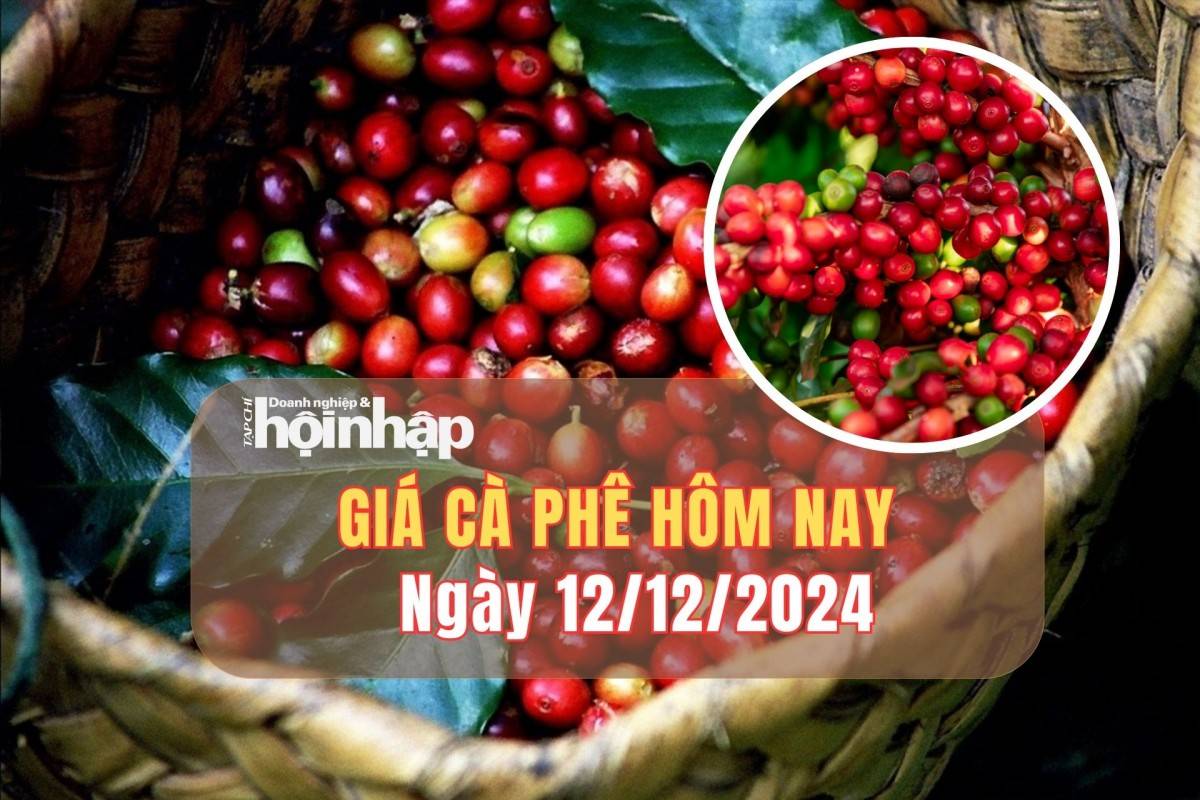 Giá cà phê hôm nay 12/12: Giá cà phê trong nước tăng từ 500 - 900 đồng/kg