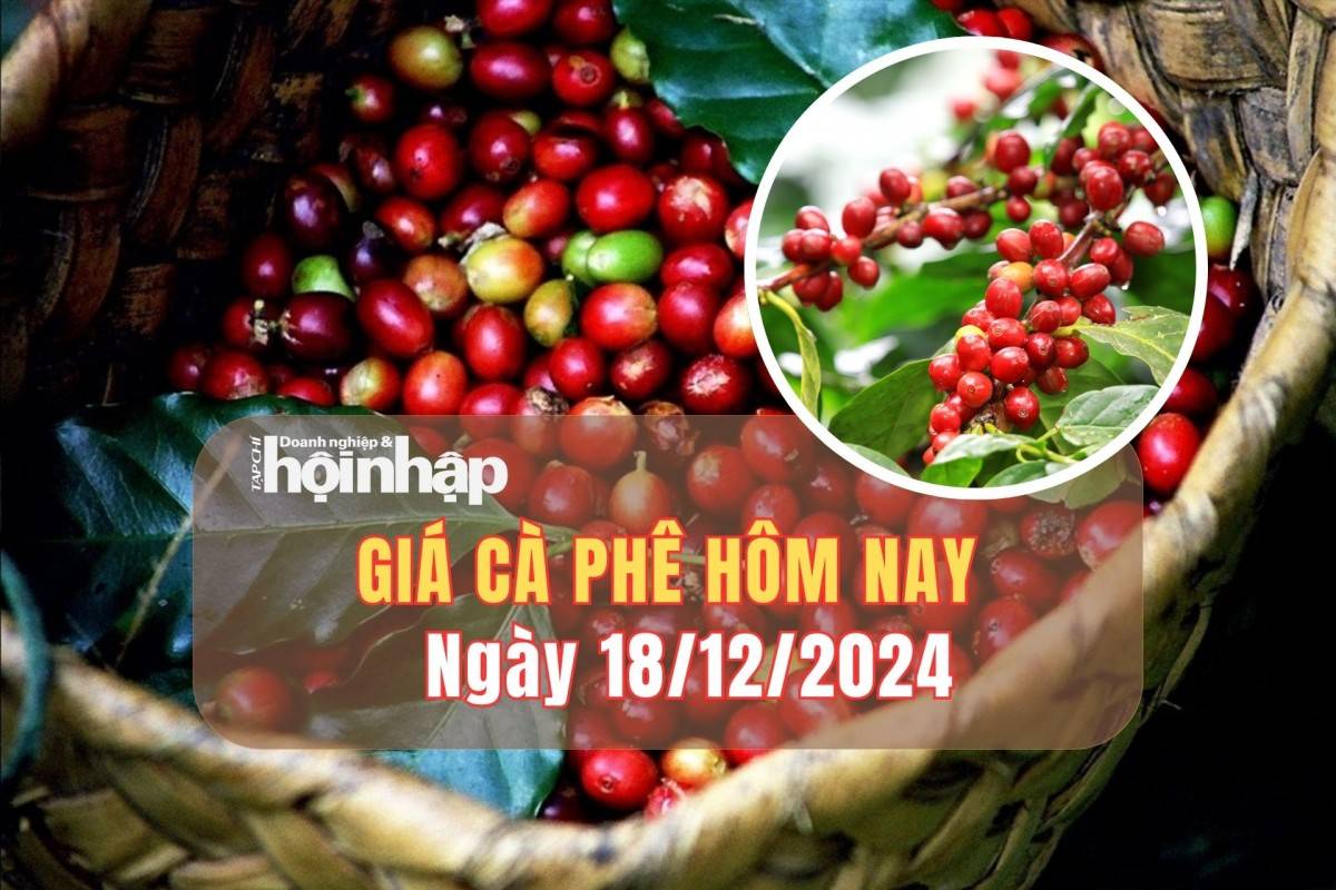 Giá cà phê hôm nay 18/12: Cà phê thế giới giảm, trong nước tăng 800 đồng/kg