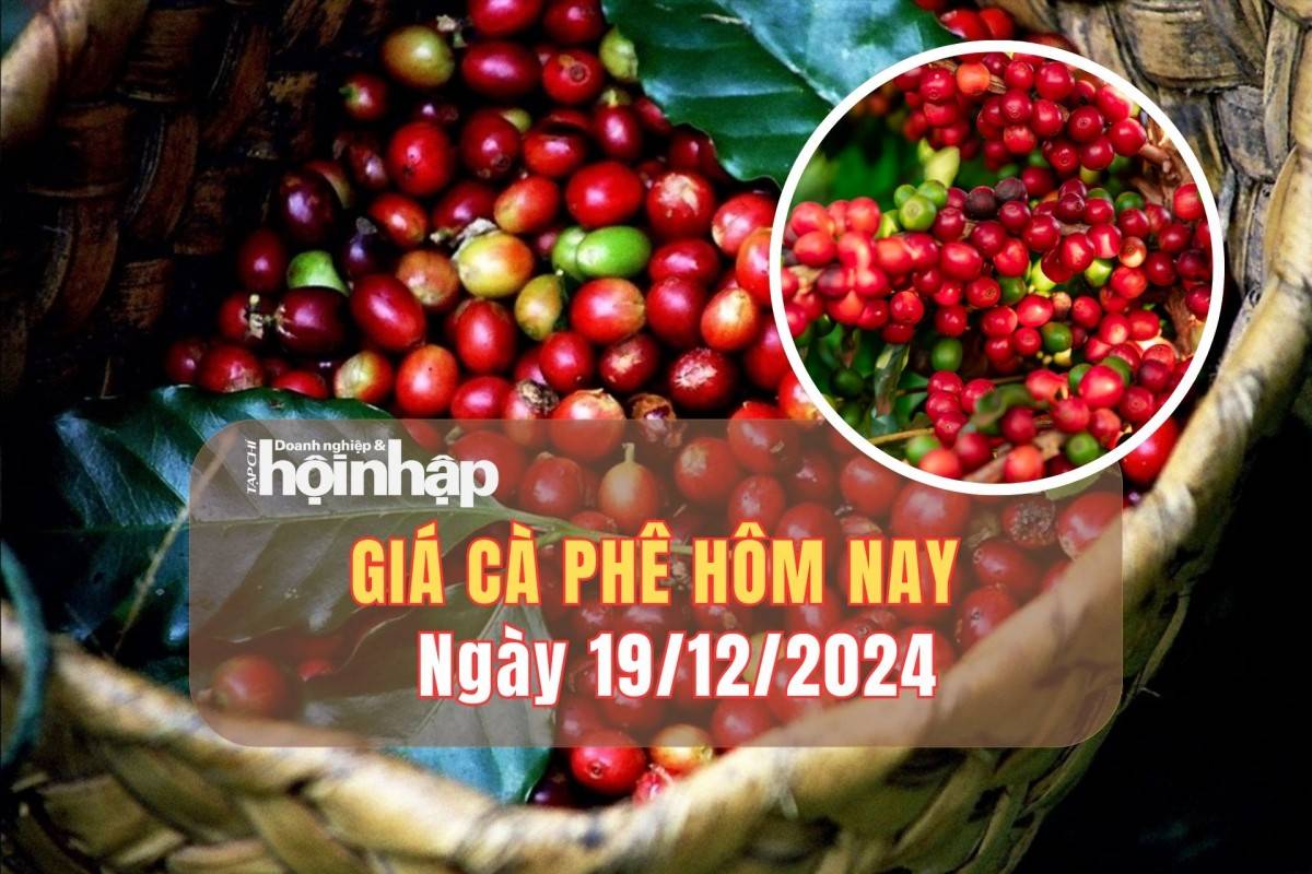 Giá cà phê hôm nay 19/12: Cà phê trong nước giảm từ 500 - 1.000 đồng/kg