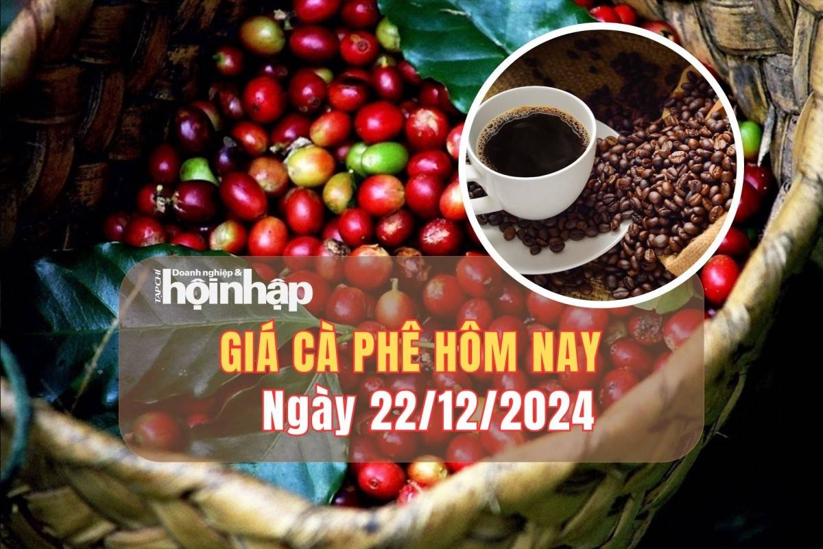 Giá cà phê hôm nay 22/12: Cà phê trong nước giảm từ 700 - 1.000 đồng/kg