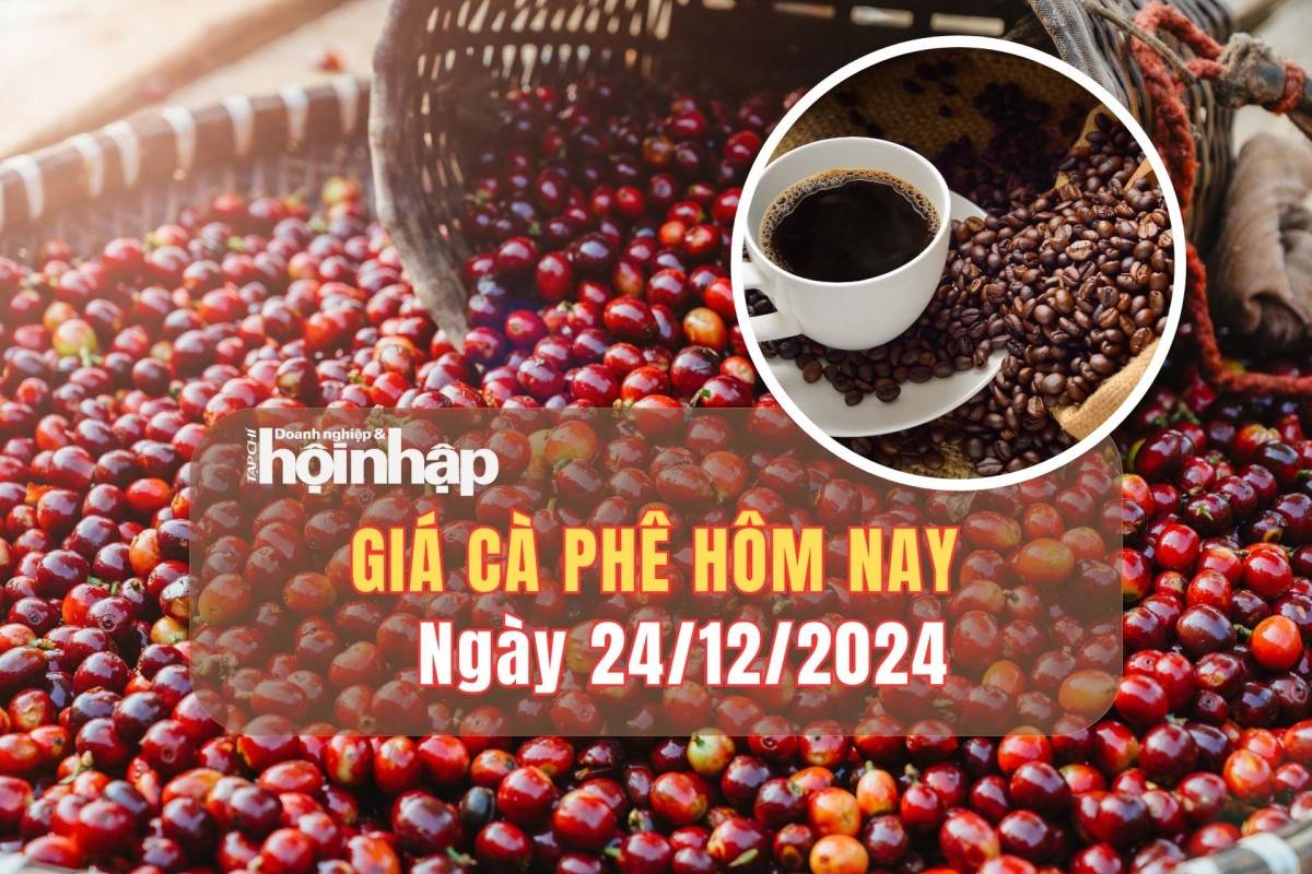 Giá cà phê hôm nay 24/12: Giá cà phê trong nước giảm nhẹ từ 300 - 700 đồng/kg