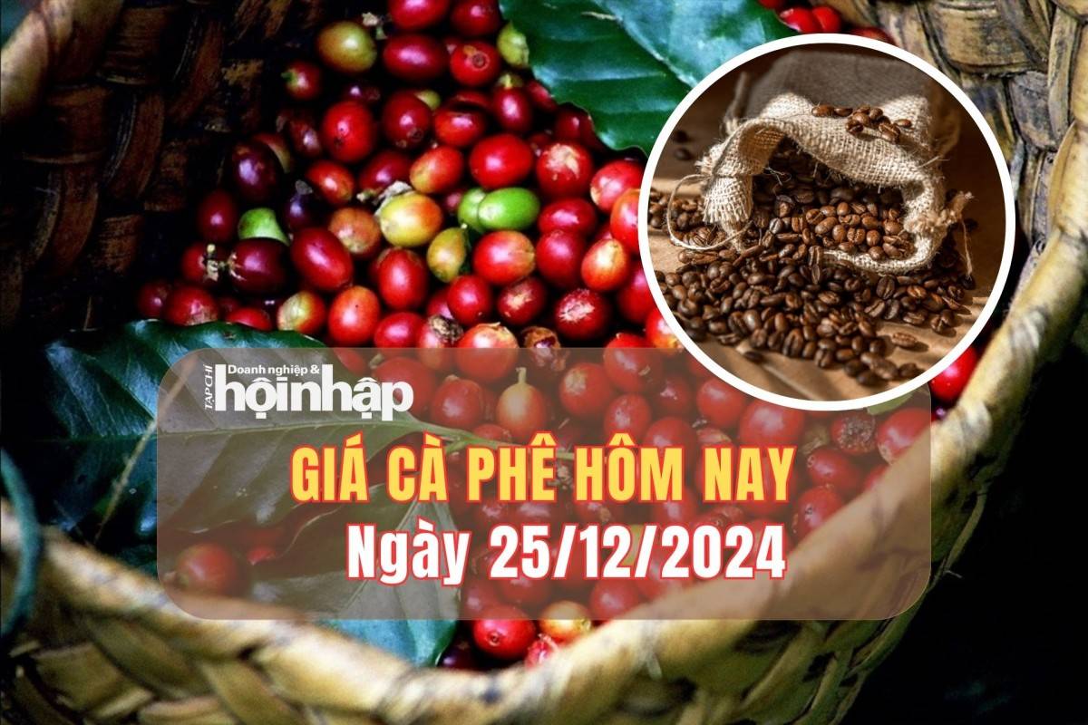 Giá cà phê hôm nay 25/12: Cà phê trong nước tăng nhẹ 200 - 400 đồng/kg