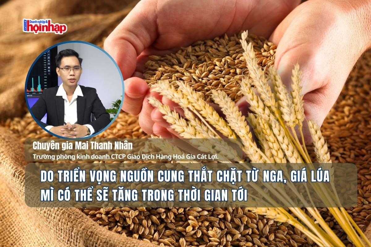 Do triển vọng nguồn cung thắt chặt từ Nga, giá lúa mì có thể sẽ tăng trong thời gian tới