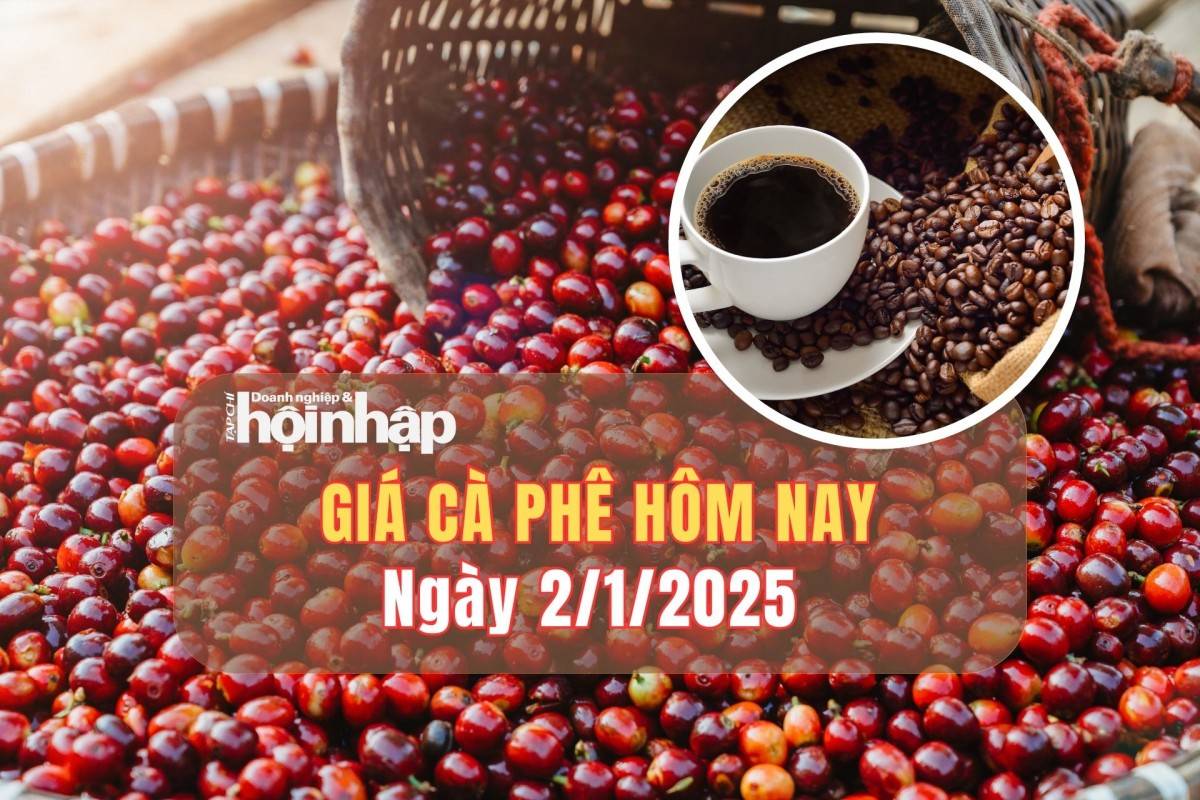 Giá cà phê hôm nay 2/1: Cà phê trong nước giảm 900 - 1.000 đồng/kg