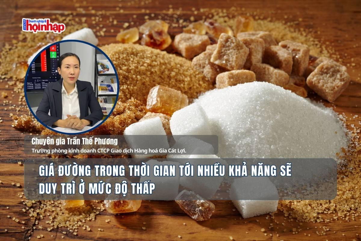 Giá đường trong thời gian tới nhiều khả năng sẽ duy trì ở mức độ thấp