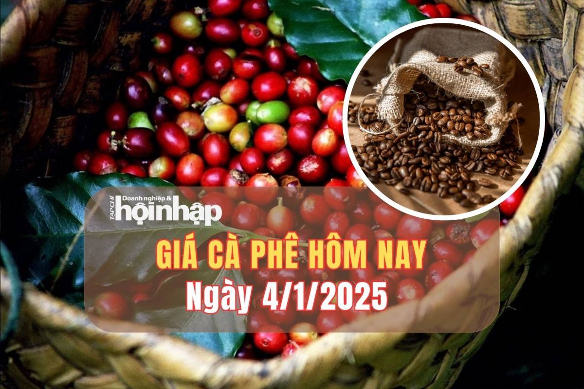 Giá cà phê hôm nay 4/1: Cà phê trong nước tăng mạnh từ 2.500 - 2.700 đồng/kg