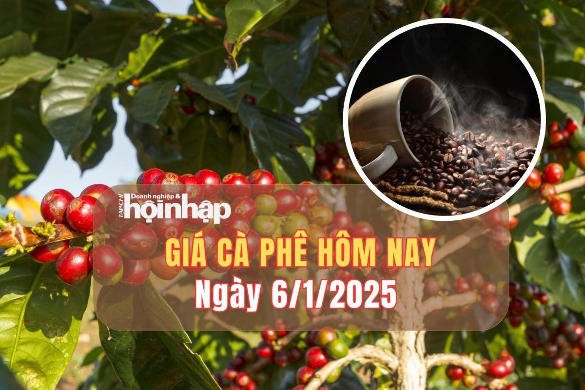 Giá cà phê hôm nay 6/1: Giá cà phê trong nước giảm tuần từ 300 - 600 đồng/kg