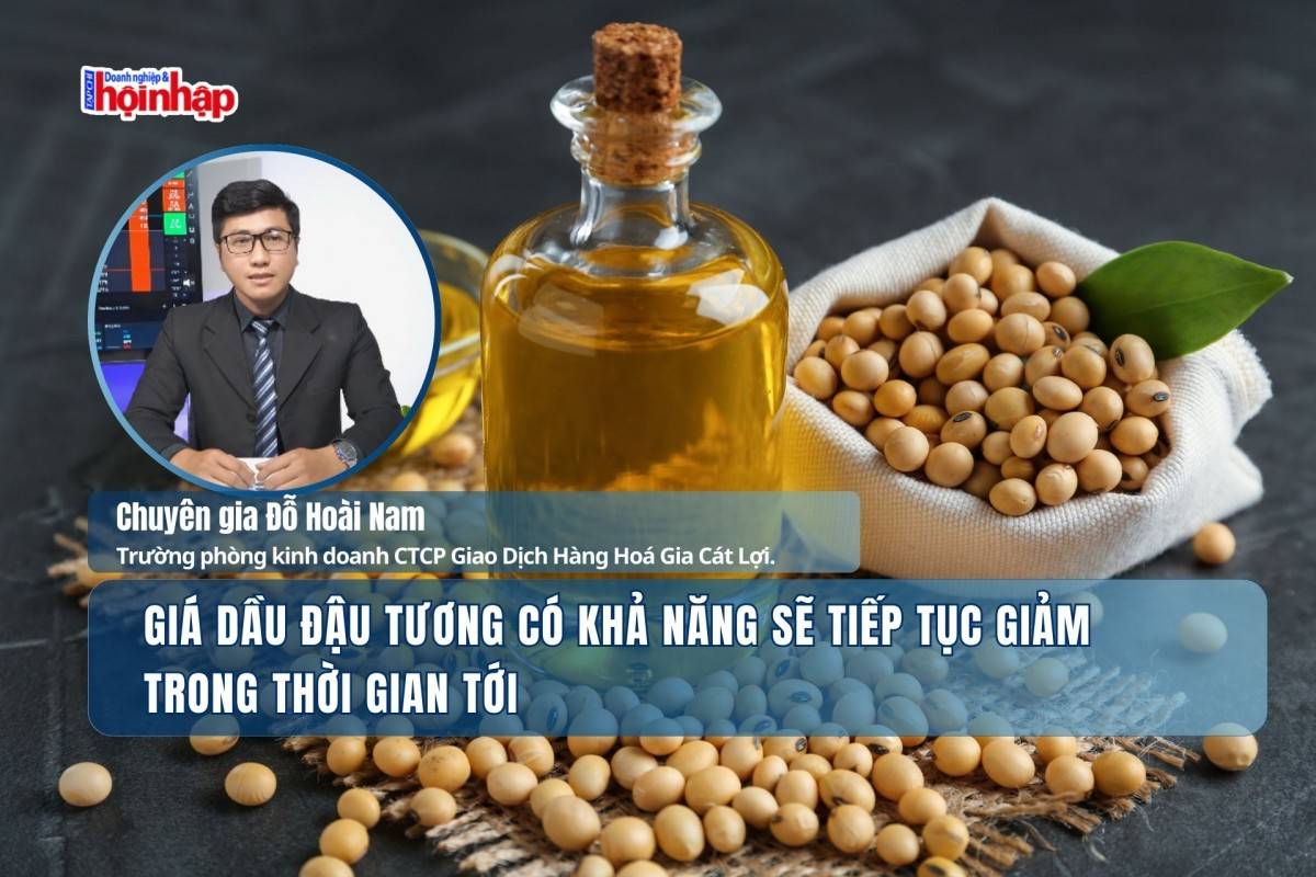 Giá dầu đậu tương có khả năng sẽ tiếp tục giảm trong thời gian tới