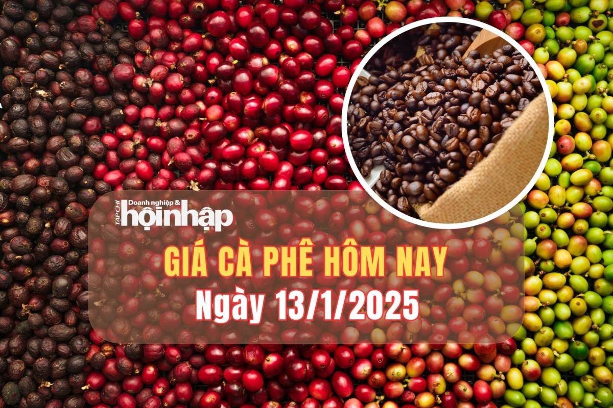 Giá cà phê hôm nay 13/1: Cà phê trong nước giảm tuần từ 1.300 - 1.500 đồng/kg