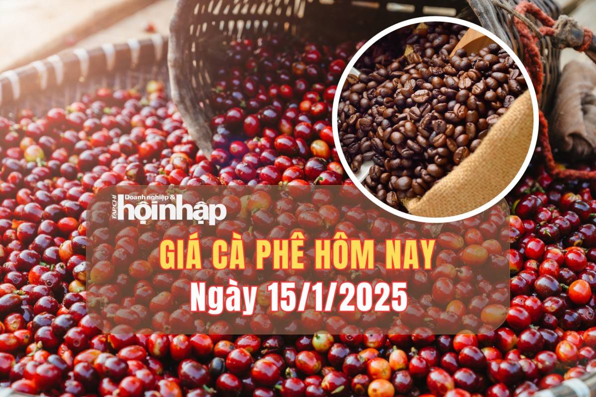 Giá cà phê hôm nay 15/1: Cà phê trong nước giảm từ 2.700 - 3.000 đồng/kg