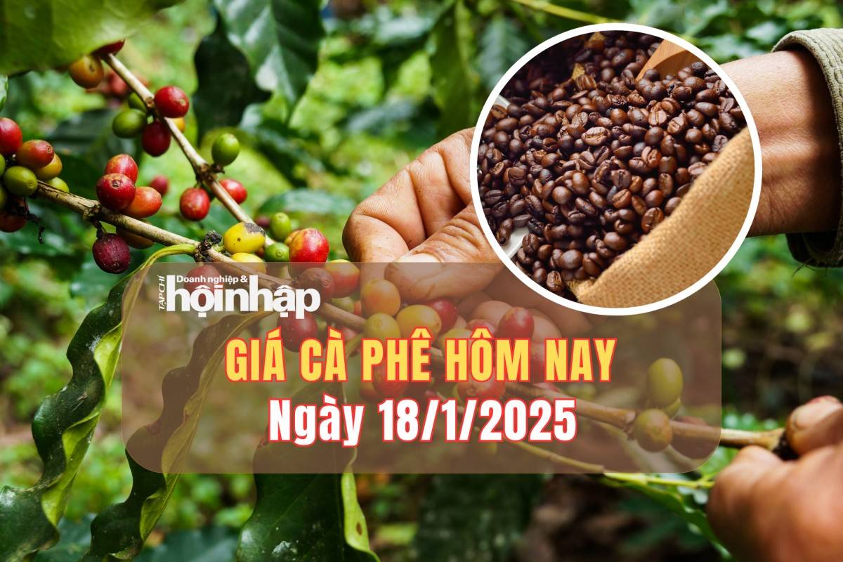 Giá cà phê hôm nay 18/1: Cà phê trong nước tăng từ 800 - 1.000 đồng/kg