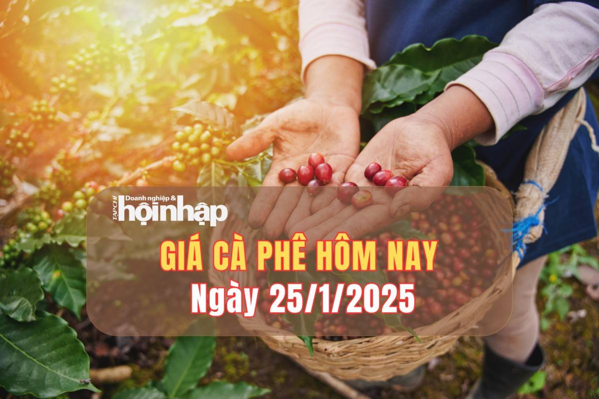 Giá cà phê hôm nay 25/1: Giá cà phê trong nước tăng nhẹ 200 đồng/kg