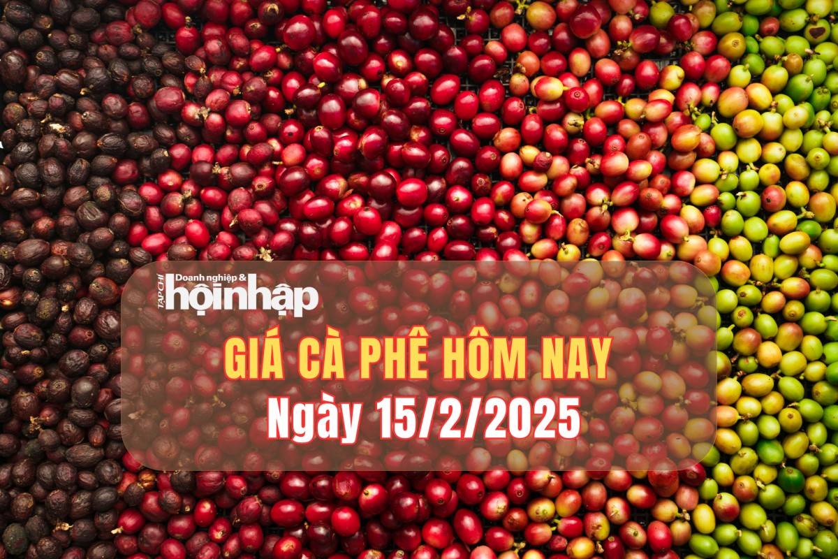 Giá cà phê hôm nay 15/2: Cà phê trong nước giảm từ 500 - 1.000 đồng/kg