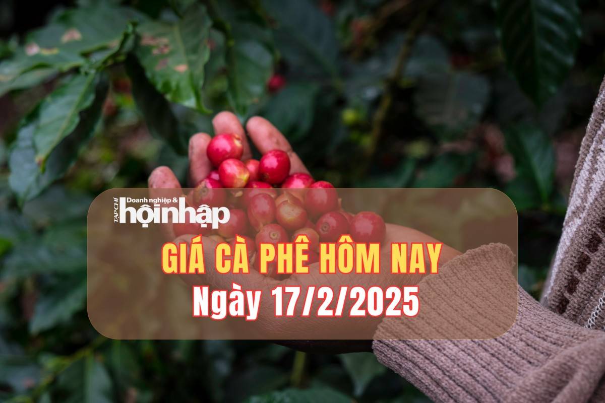 Giá cà phê hôm nay 17/2: Giá cà phê trong nước tăng tuần 1.000 - 1.500 đồng/kg