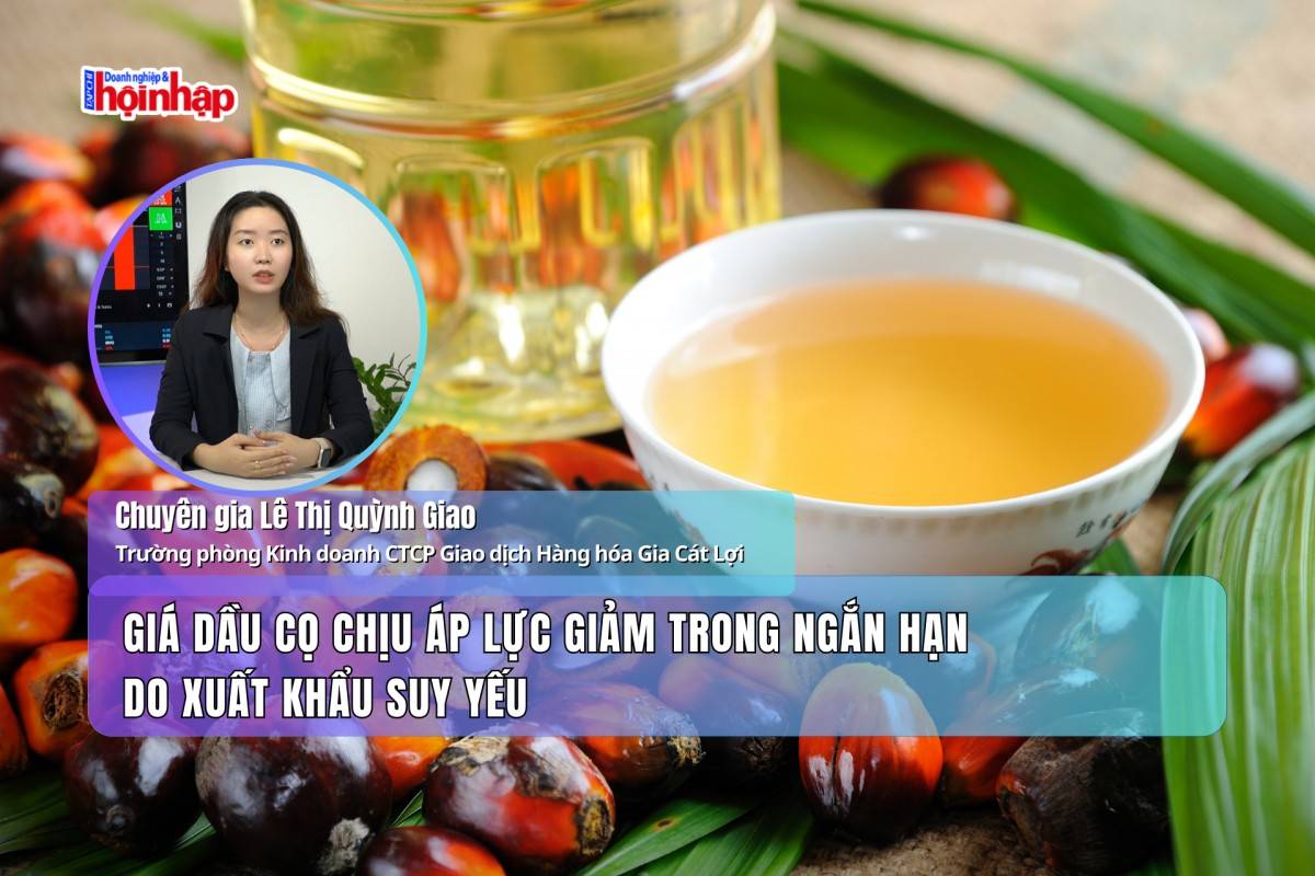 Giá dầu cọ chịu áp lực giảm trong ngắn hạn do xuất khẩu suy yếu