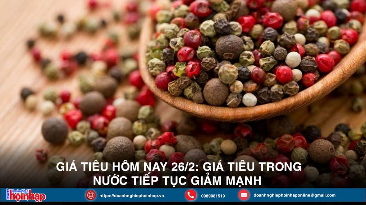 Giá tiêu hôm nay 26/2: Giá tiêu trong nước tiếp tục giảm mạnh