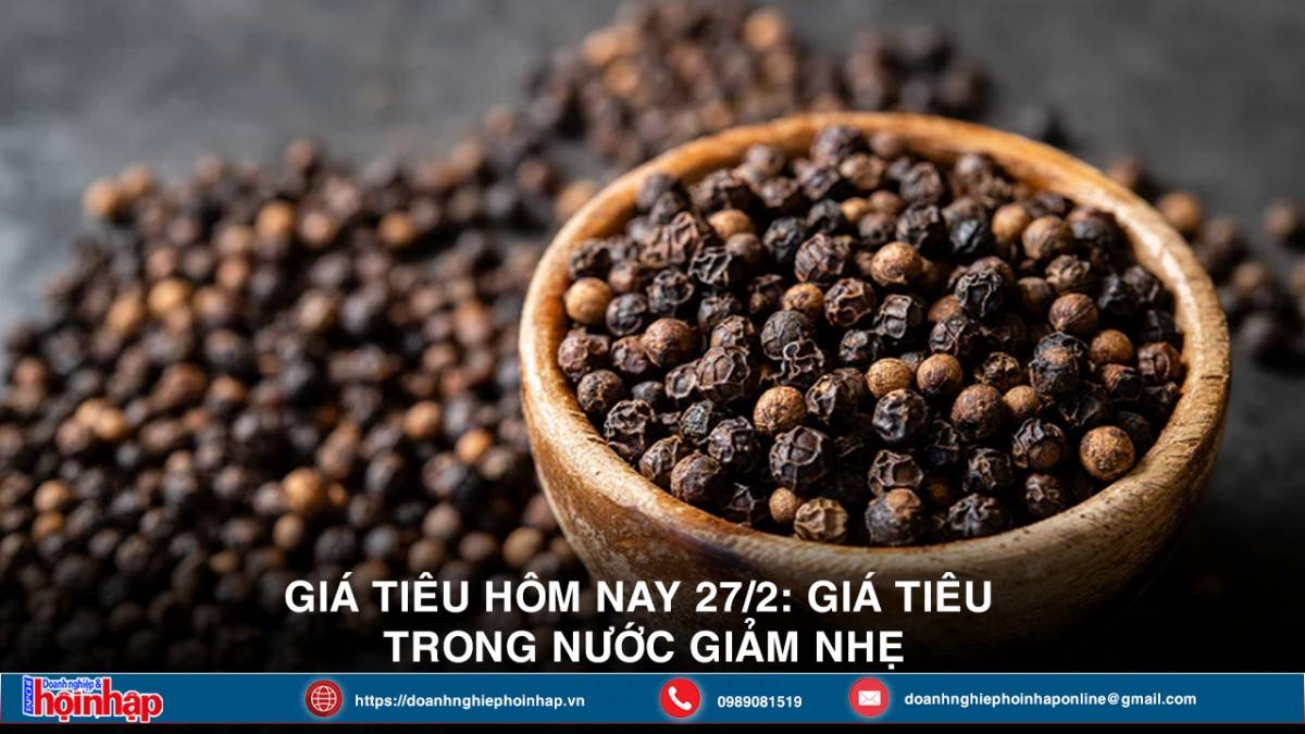 Giá tiêu hôm nay 27/2: Giá tiêu trong nước giảm nhẹ